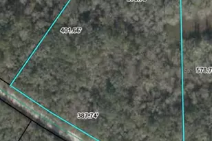0000 NW 73rd Way, Bell, FL 32619 - Photo 1