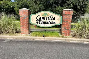 Tbd SW 9th St, Williston, FL 32696 - Photo 1