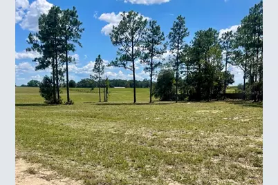 Ne 137th Avenue, Williston, FL 32696 - Photo 1