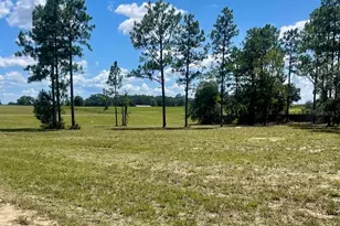 NE 137th Ave, Williston, FL 32696 - Photo 1