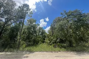 Lot 11 NW 11th Ave, Bell, FL 32619 - Photo 1