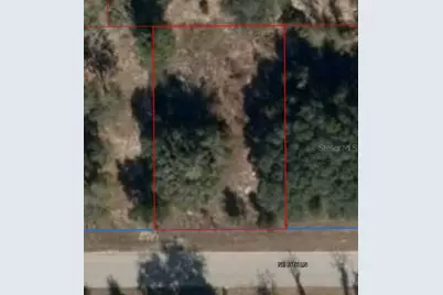11465 NE 69th Lane, Williston, FL 32696 - Photo 1