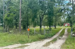2690 NW Co Rd 341, Bell, FL 32619 - Photo 1