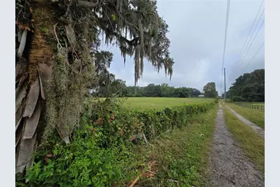 4901 NW 152nd Lane, Reddick, FL 32686 - Photo 1