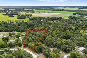 000 NW 105th Ct, Chiefland, FL 32626 - Photo 1