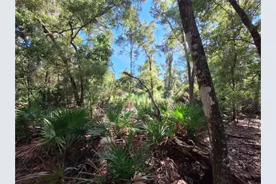 Tbd 00 NW 47th Street, Chiefland, FL 32626 - Photo 1