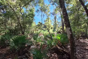 Tbd 00 NW 47th St, Chiefland, FL 32626 - Photo 1