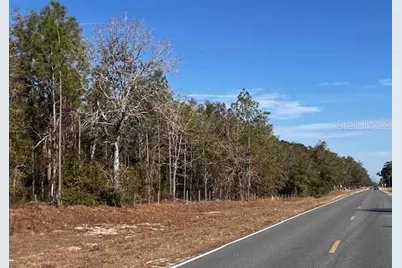4700 NW County Road 340, Bell, FL 32619 - Photo 1