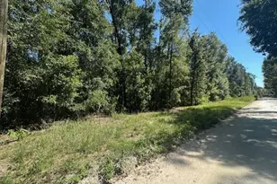 NW 38th Pl, Bell, FL 32619 - Photo 1