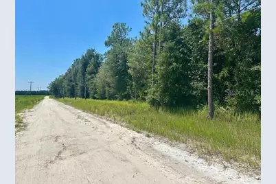 5919 NW 10th Avenue, Bell, FL 32619 - Photo 1