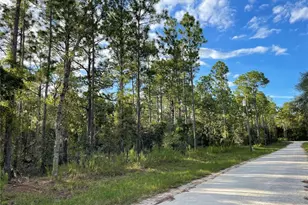 141st Ave, Morriston, FL 32668 - Photo 1