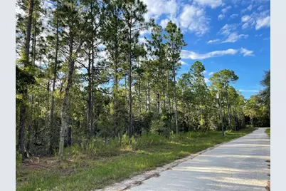 141st Avenue, Morriston, FL 32668 - Photo 1