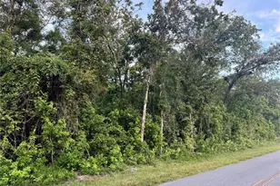 SW Newark Dr, Fort White, FL 32038 - Photo 1