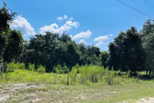 00 NW 100 Ave, Chiefland, FL 32626 - Photo 1