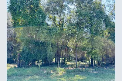 0 NW 100 Avenue, Chiefland, FL 32626 - Photo 1