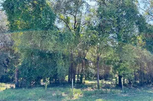 0 NW 100 Ave, Chiefland, FL 32626 - Photo 1