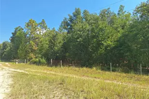 Lot 9 NW 73rd Way, Bell, FL 32619 - Photo 1