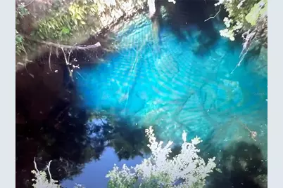 [Address not provided], Williston, FL 32696 - Photo 1