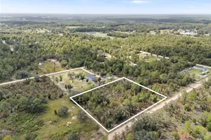 0 NE 77 Pl, Bronson, FL 32621 - Photo 1