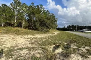 9169 N Deltona Blvd, Citrus Springs, FL 34434 - Photo 1