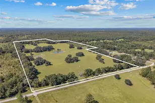 960 SW Bethlehem Ave, Fort White, FL 32038 - Photo 1