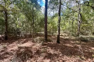 NW 13th Terrace, Bell, FL 32619 - Photo 1