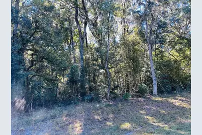 0 NW 86 Street, Chiefland, FL 32626 - Photo 1