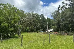 380 NE 157 Ave, Williston, FL 32696 - Photo 1