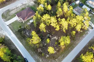 00 NE 9th St, Williston, FL 32696 - Photo 1