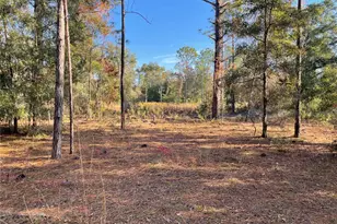 9650 NE 80th St, Bronson, FL 32621 - Photo 1