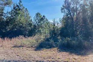 0 NW 126 St, Chiefland, FL 32626 - Photo 1