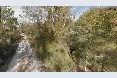 Lot 5 NE 100th Ct, Bronson, FL 32621 - Photo 1