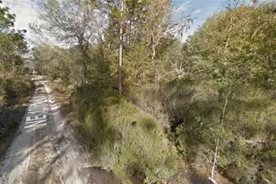 Lot 5 NE 100th Ct, Bronson, FL 32621 - Photo 1