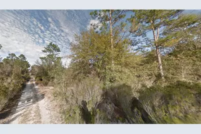 Lot 7 NE 100th Ct, Bronson, FL 32621 - Photo 1