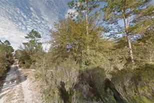 Lot 7 NE 100th Ct, Bronson, FL 32621 - Photo 1