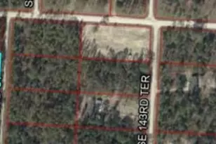 Xxxx SE 142nd Ct, Morriston, FL 32668 - Photo 1