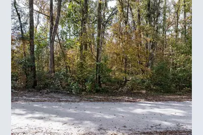 Lots 165 & 166 SW Nebraska Terrace, Fort White, FL 32038 - Photo 1