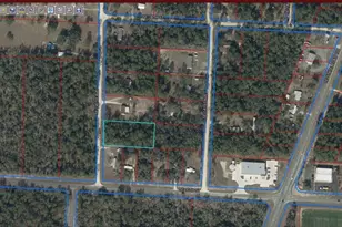 0 SE 140 Ave, Morriston, FL 32668 - Photo 1