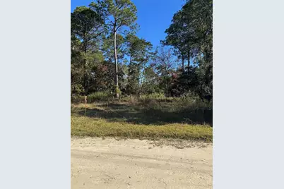 00 SE 330th St, Old Town, FL 32680 - Photo 1