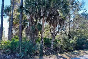 0 SW 60th St, Cedar Key, FL 32625 - Photo 1