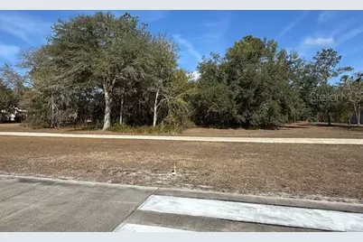 Lot 7 SW 39th Drive, Lake Butler, FL 32054 - Photo 1