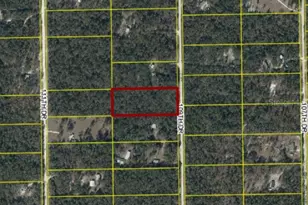 Tbd 109th Dr, O'Brien, FL 32071 - Photo 1