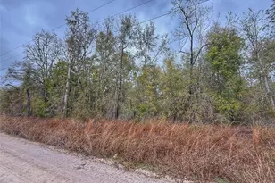 Tbd NW 60 Street NW, Bell, FL 32619 - Photo 1