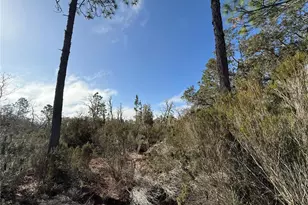 NE 56 St, Bronson, FL 32621 - Photo 1