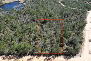 Alene Dr, Alford, FL 32420 - Photo 1