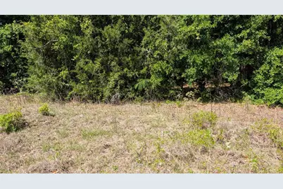 Se Cr 337, Trenton, FL 32693 - Photo 1