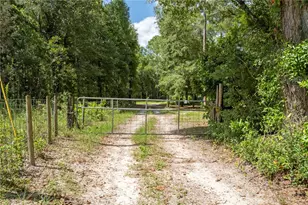 3749 V SW 22nd Pl, Bell, FL 32619 - Photo 1