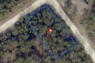 0 Cedarwood Ave (Parcel Key 00784538), Brooksville, FL 34614 - Photo 1