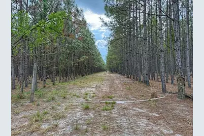 Tbd SE Pearl Fletcher Road, Branford, FL 32008 - Photo 1