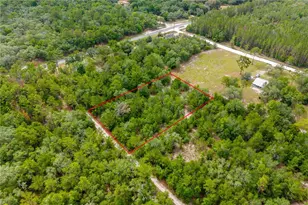 7930 N E 121 St, Bronson, FL 32621 - Photo 1